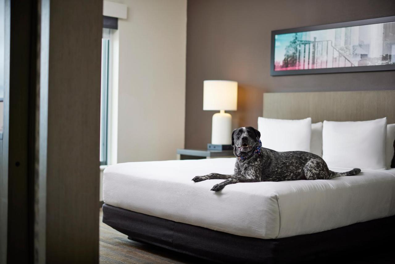 Hyatt House Denver/Downtown Zewnętrze zdjęcie